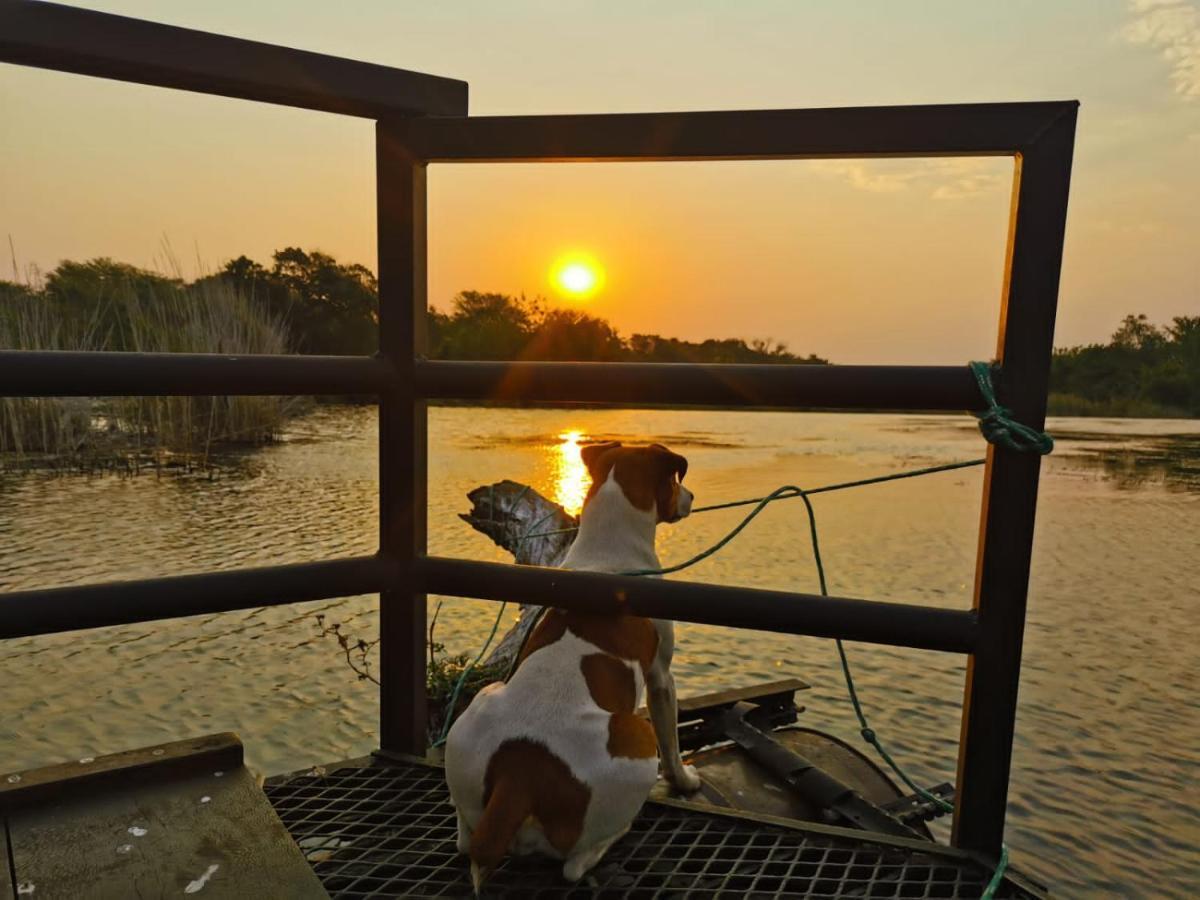 Hippo Retreat & Tiger Fishing كوماتيبورت المظهر الخارجي الصورة
