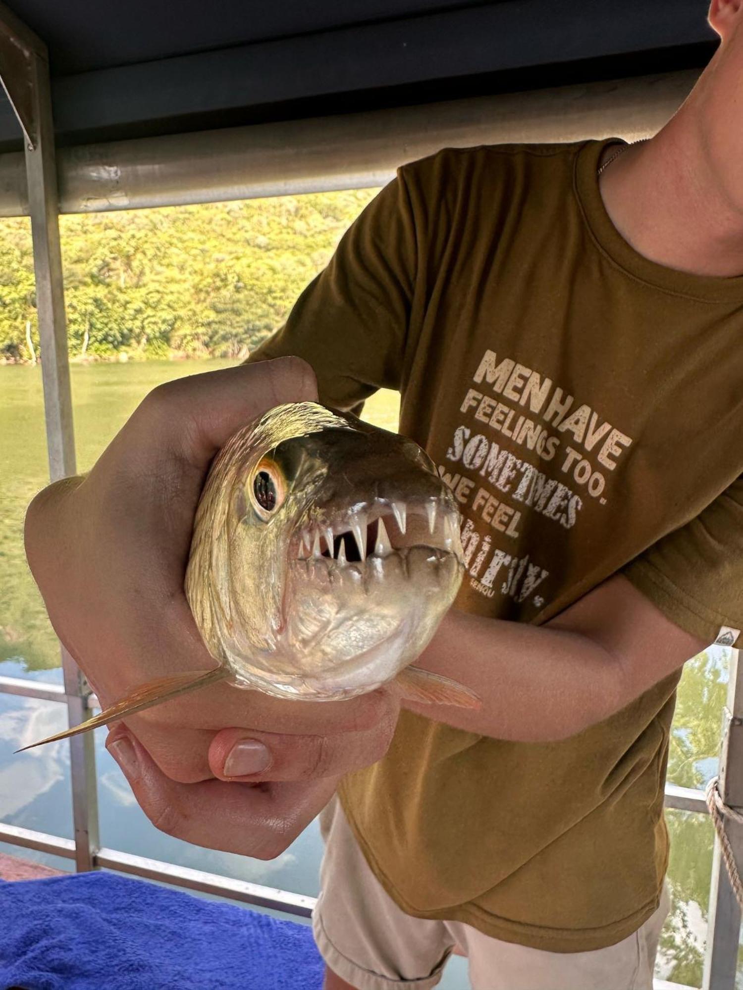 Hippo Retreat & Tiger Fishing كوماتيبورت المظهر الخارجي الصورة
